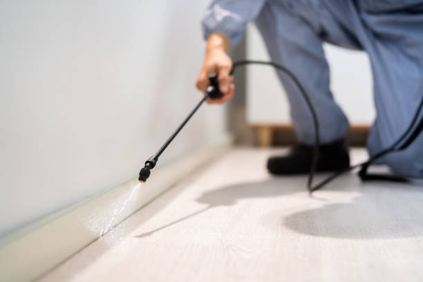 Licensed Termite Control service in Junction, TX - Nex Pest Control