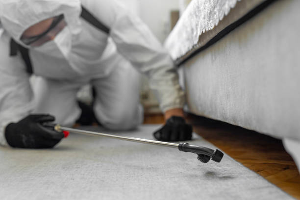 Professional Termite Control technician working in Junction, TX