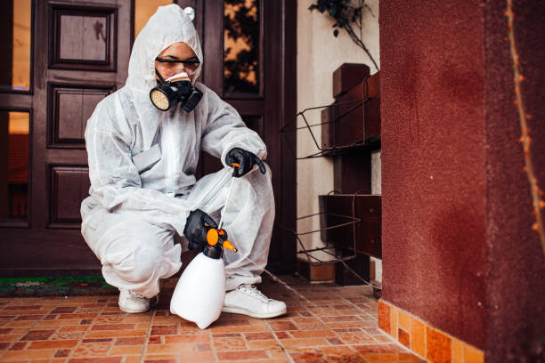 Reliable Termite Control contractor in Junction, TX by Nex Pest Control